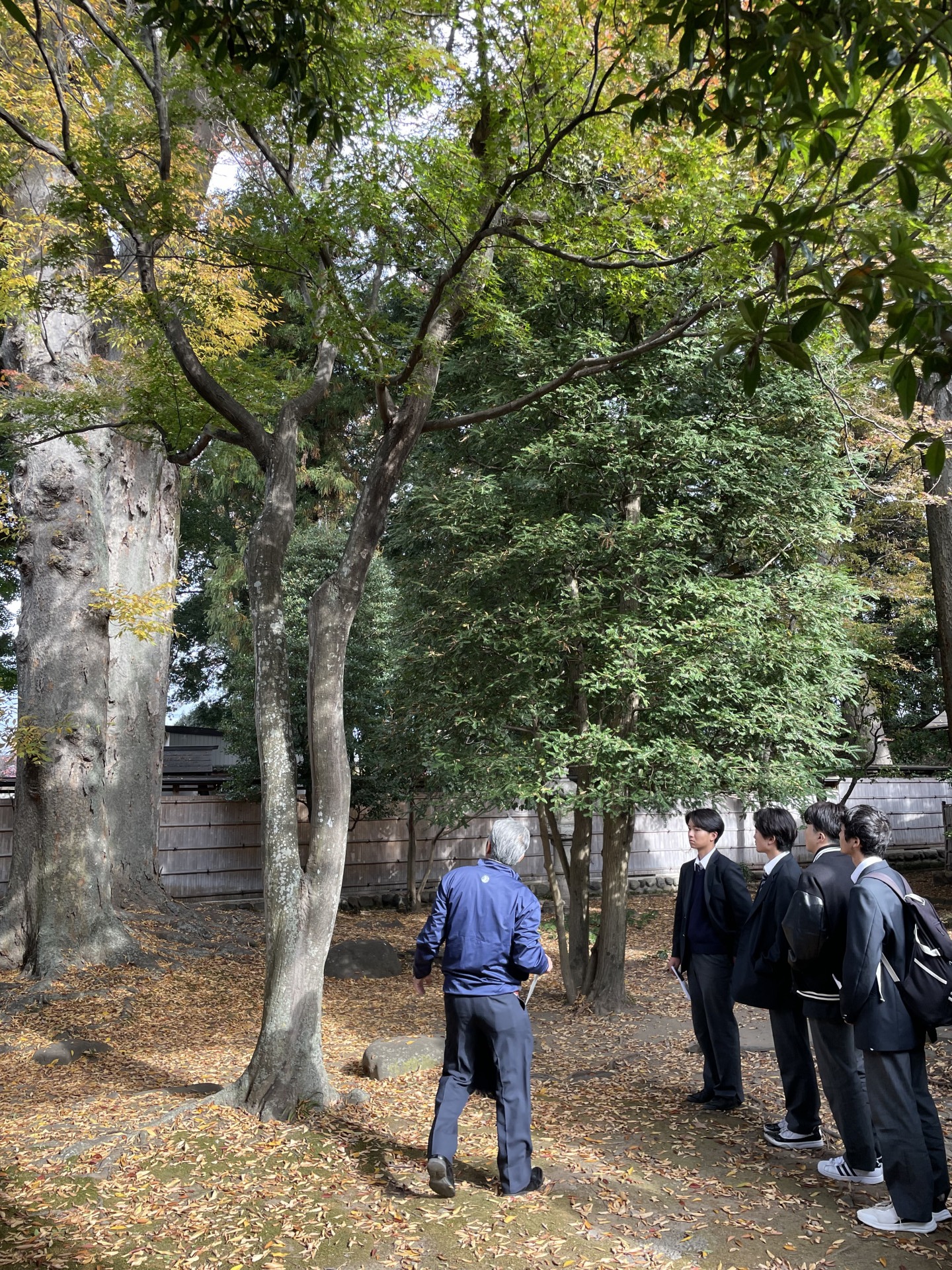 画像 -20251118-010318-2e6d2ac4